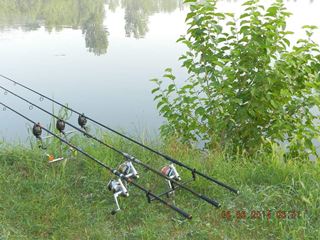 marginal fishing